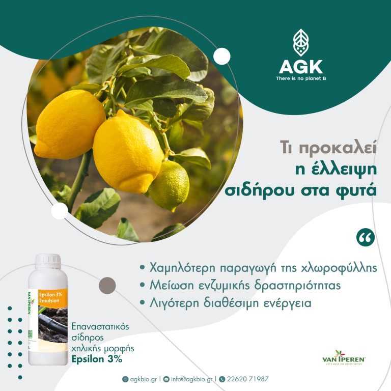 Τροφοπενία σιδήρου στα φυτά
