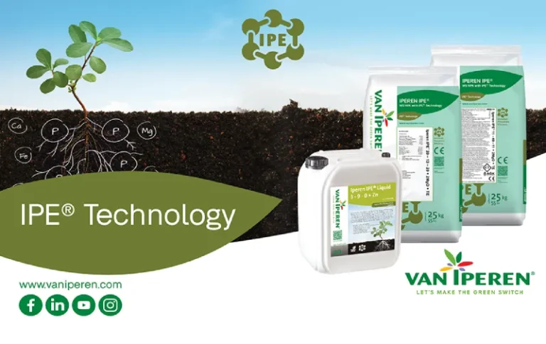 AGK BIO VII EN IPE Technology web artro